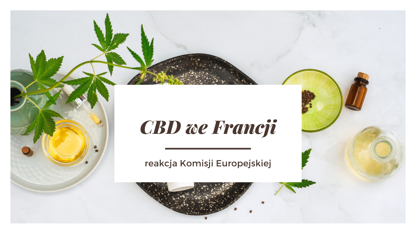 Zmiany dot. CBD we Francji – co na to Komisja Europejska?