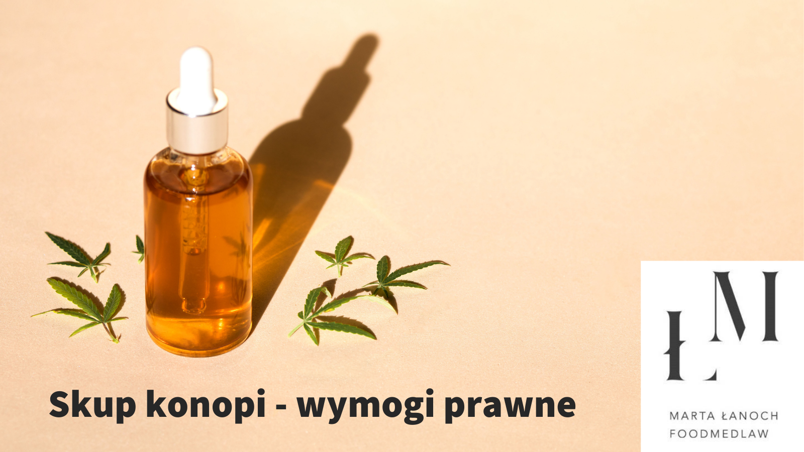 Skup konopi – jak uzyskać pozwolenie?