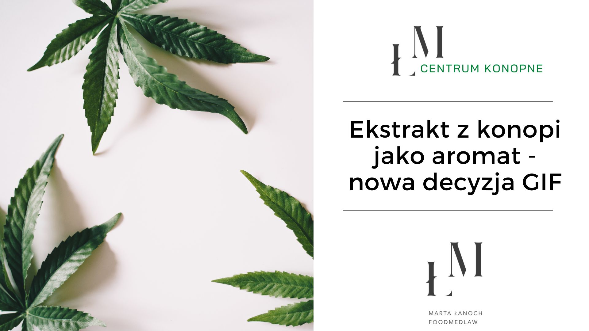 NOWA INTERPRETACJA GIF W SPRAWIE EKSTRAKTU Z KONOPI