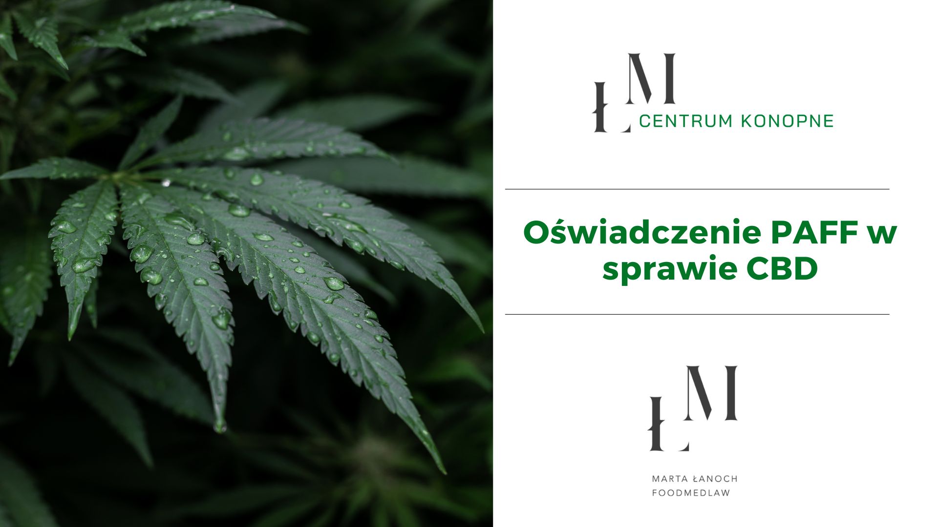 CBD jako nowa żywność – nowe stanowisko