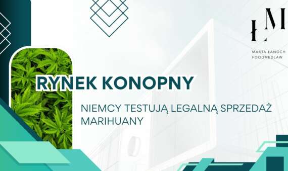 Rynek konopny – Niemcy testują legalną sprzedaż marihuany