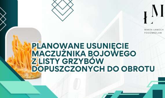 Planowane usunięcie maczużnika bojowego z listy grzybów dopuszczonych do obrotu
