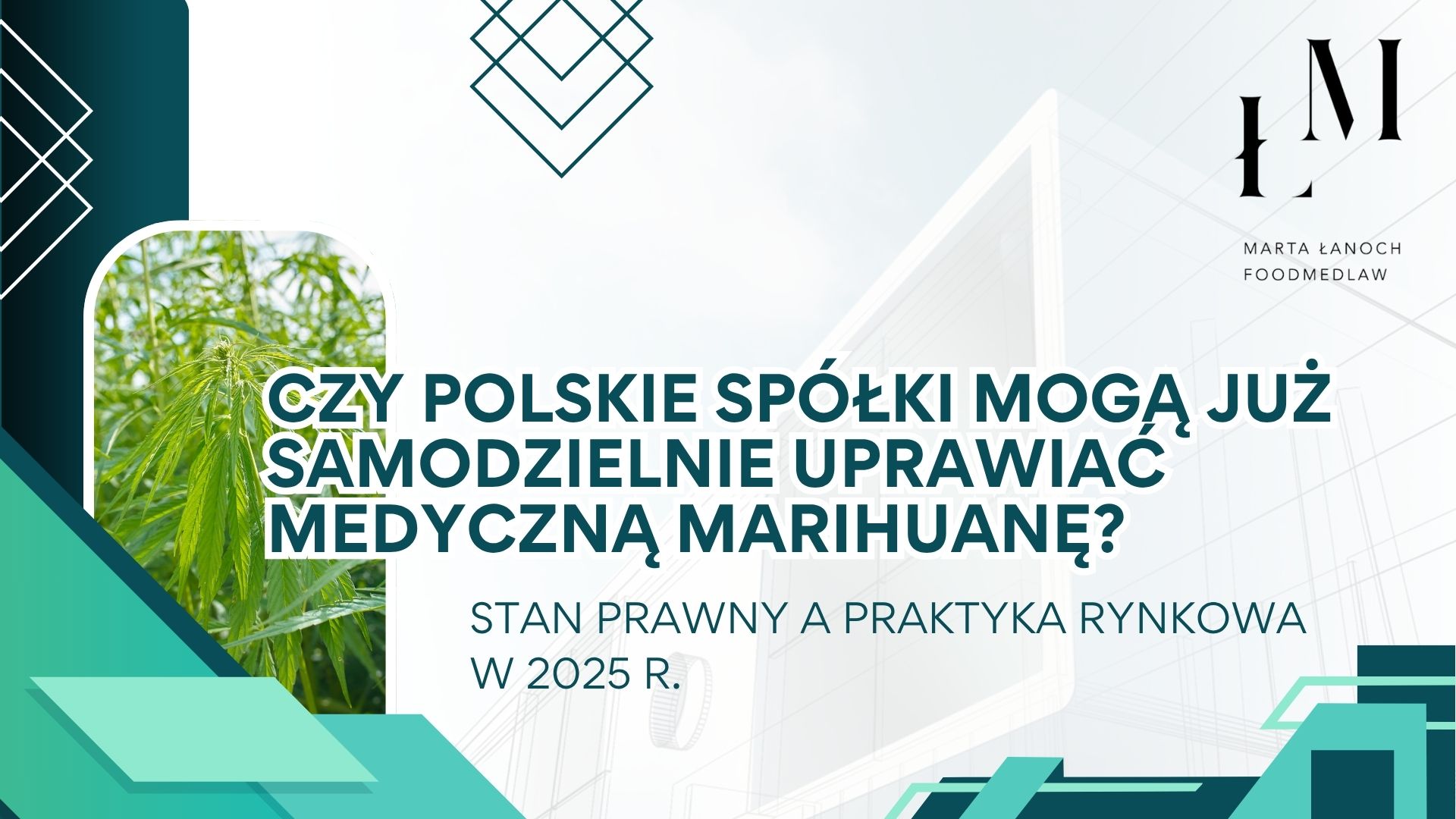 Czy polskie spółki mogą już samodzielnie uprawiać medyczną marihuanę? Stan prawny a praktyka rynkowa w 2025 r.