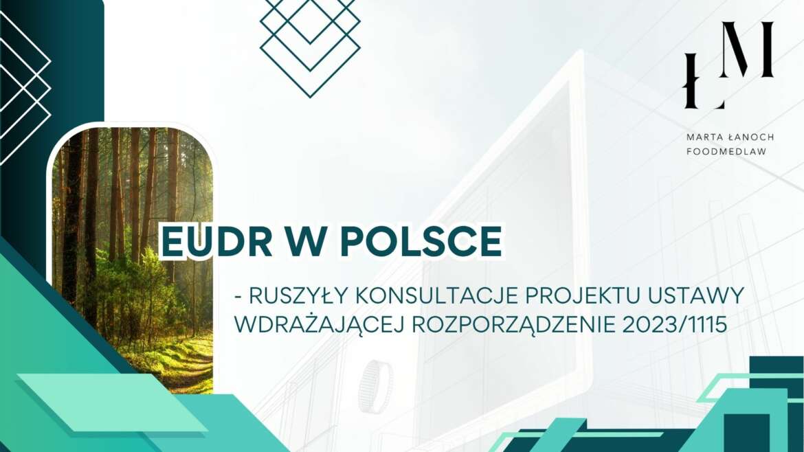 EUDR w Polsce: ruszyły konsultacje projektu ustawy wdrażającej rozporządzenie 2023/1115