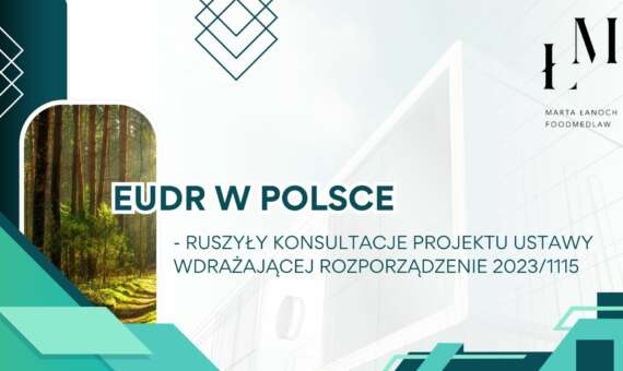 EUDR w Polsce: ruszyły konsultacje projektu ustawy wdrażającej rozporządzenie 2023/1115